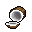coconut